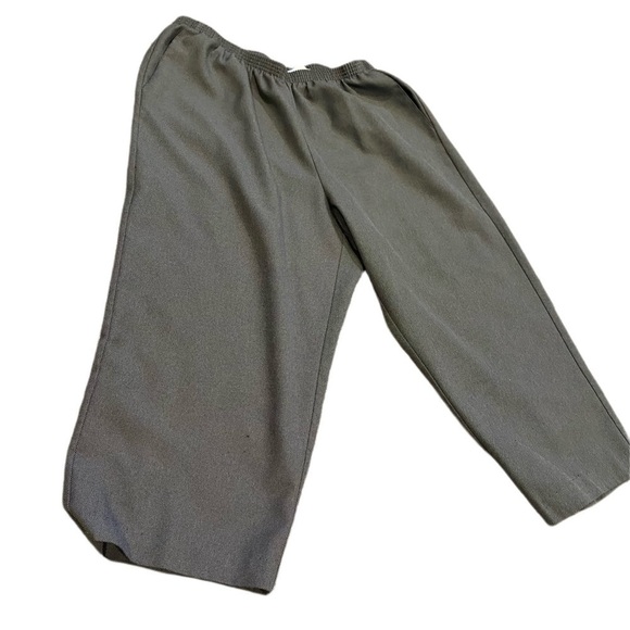 ALFRED Dunner women's pants size 20W Grey - Picture 1 of 4